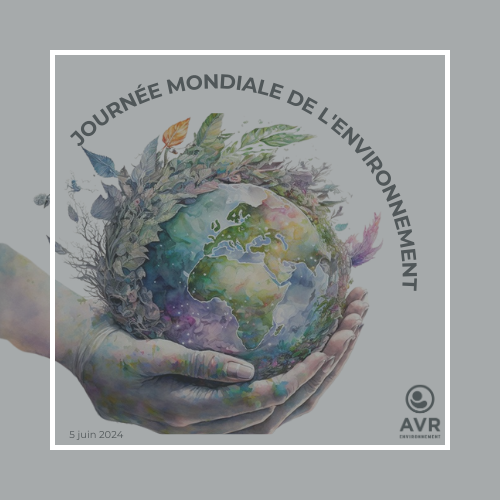 blog Journée Mondiale de l'Environnement 2024